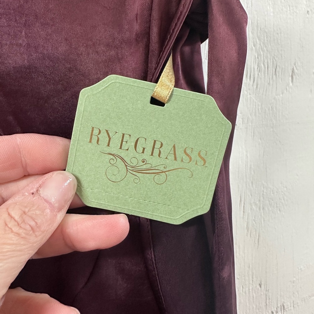 Rygrass Burgundy Velvet Dress